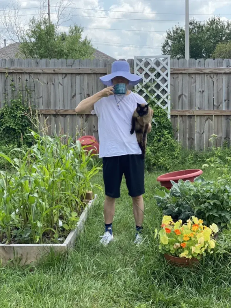 A gardener tending raised beds and vegetable plants in a backyard garden in Springfield, MO